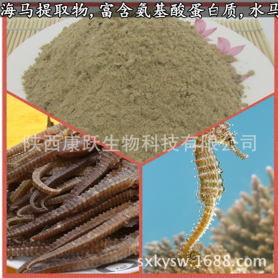 порошок гиппокампа-1.png